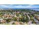 Aerial neighborhood view showcases lush treetops, well-manicured lawns, and waterfront community at 403 Erie Ave, Tampa, FL 33606