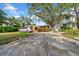 A ranch-style home with mature landscaping, a circular driveway, and a shady tree at 403 Erie Ave, Tampa, FL 33606