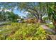 Ranch-style home featuring a big shade tree and lush tropical landscaping at 403 Erie Ave, Tampa, FL 33606
