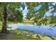 Scenic view of the pond with lush trees and blue skies; peaceful aquatic setting at 4935 White Sanderling Ct, Tampa, FL 33619