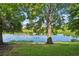 Picturesque view of a pond, with ducks swimming, framed by lush green trees and blue sky at 4935 White Sanderling Ct, Tampa, FL 33619