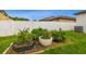 View of backyard with garden beds featuring tomatoes, and green plants at 6218 Magnolia Park Blvd, Riverview, FL 33578