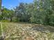Large, grassy backyard with lush trees providing plenty of shade and privacy on a sunny day at 6832 Treehaven Dr, Spring Hill, FL 34606