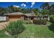 Inviting home showcasing lush green lawn, mature palm trees, and attractive brick accents at 11279 Oakridge Trl, Seminole, FL 33772