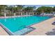 Community pool with lounge chairs and stairs entry to the pool at 11304 Plumtree Ct, Riverview, FL 33579