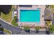 Aerial view of a pool with palm trees, lounge chairs, and nearby parking at 11304 Plumtree Ct, Riverview, FL 33579