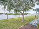 Scenic backyard showcasing waterfront views, lush greenery, and a mature tree providing shade at 800 Chesapeake Dr # 23, Tarpon Springs, FL 34689