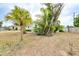 Expansive backyard featuring mature trees and lush greenery, perfect for outdoor activities at 4362 Wesley Ln, North Port, FL 34287