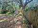 Large, foliage-filled backyard with a wooden fence and storage shed at 5901 N 34Th St, Tampa, FL 33610