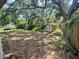 Leafy backyard with tropical plantlife and some storage space at 5901 N 34Th St, Tampa, FL 33610