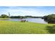 Bench overlooking a serene lake with lush green grass and mature trees at 6450 Shoreline Dr Dr # 9202, St Petersburg, FL 33708