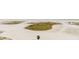 Stunning beach with pristine white sand and vibrant green vegetation at 11000 Gulf Blvd # 1002, Treasure Island, FL 33706