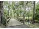 Scenic wooden bridge walkway surrounded by lush trees with Spanish moss in a serene setting at 11503 Robles Del Rio Pl, Temple Terrace, FL 33617
