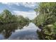 Scenic river view surrounded by lush trees and Spanish moss, reflecting a bright blue sky at 11503 Robles Del Rio Pl, Temple Terrace, FL 33617