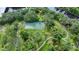 Aerial view of the community tennis court surrounded by lush trees and walking paths at 11503 Robles Del Rio Pl, Temple Terrace, FL 33617