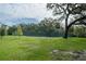 Tennis court on a expansive lawn area, surrounded by lush trees under a partly cloudy sky at 11503 Robles Del Rio Pl, Temple Terrace, FL 33617