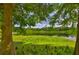 Waterfront backyard with mature trees and greenery providing a tranquil setting at 1708 Pond Lake Dr, Tampa, FL 33612