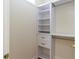 Walk-in closet with built-in shelving and drawers for optimal storage at 1808 W Erna Dr, Tampa, FL 33603