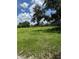 Beautiful grassy lot under a partly cloudy sky, dotted with mature trees, offering a serene and open landscape at 4106 Old Mulberry Rd, Plant City, FL 33567