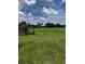 Expansive, grassy lot with sturdy wooden fence and mature trees, perfect for building or recreation at 4106 Old Mulberry Rd, Plant City, FL 33567