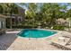 Community pool with lounge chairs and surrounding greenery near a condo building and manicured landscape at 4117 Daventry Ln, Palm Harbor, FL 34685