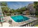 Community pool with brick paver patio, lounge chairs, and umbrella tables surrounded by trees at 4117 Daventry Ln, Palm Harbor, FL 34685