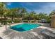 Community pool area featuring a rectangular pool, lounge chairs, and surrounding greenery at 4117 Daventry Ln, Palm Harbor, FL 34685