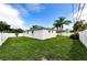 Backyard featuring a lush green lawn, palm trees, a white fence, and a view of the house's exterior at 717 Pinewood Dr, Dunedin, FL 34698
