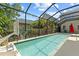 Spacious screened-in pool with basketball hoop for fun and recreation, surrounded by lush landscaping at 5955 Caldera Ridge Dr, Lithia, FL 33547