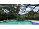 Inviting screened-in pool with ample space for relaxation and enjoyment with tropical foliage surroundings at 713 Rustic Oaks Dr, Palm Harbor, FL 34684