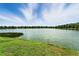 Scenic view of a tranquil lake surrounded by green grass and trees under a partly cloudy sky at 1725 Bondurant Way, Brandon, FL 33511
