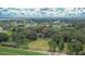Aerial view of property featuring mature trees, with farmland and residential areas nearby at 3102 E Trapnell Rd, Plant City, FL 33566