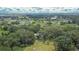 Aerial view of property featuring a large yard with trees, farmland, and residential areas nearby at 3102 E Trapnell Rd, Plant City, FL 33566