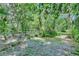 Lush, green backyard bordered by a fence, providing privacy and a tranquil setting at 3102 E Trapnell Rd, Plant City, FL 33566