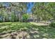 Expansive backyard featuring a pool and mature trees offering privacy and shade at 3102 E Trapnell Rd, Plant City, FL 33566