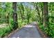 Tree-lined driveway with lush landscaping leading to a peaceful and secluded property at 3102 E Trapnell Rd, Plant City, FL 33566