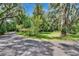 Expansive front yard with mature trees and lush greenery surrounding the property at 3102 E Trapnell Rd, Plant City, FL 33566