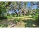 Large, grassy yard surrounded by mature trees at 3102 E Trapnell Rd, Plant City, FL 33566