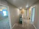 The second floor hallway has carpet, neutral paint, and access to the bedrooms and bathroom at 35233 White Water Lily Way, Zephyrhills, FL 33541