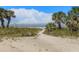 Sandy path to the beach with lush foliage and palm trees perfect for strolling at 10280 Gulf Blvd # 12, St Petersburg, FL 33706