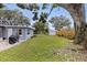 Backyard with green grass, a storage shed, and a large tree at 11451 82Nd Ave, Seminole, FL 33772