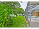 Green backyard featuring lush green grass, mature landscaping, and a screened-in pool at 12305 Freesia Ct, Riverview, FL 33569