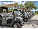 A row of golf carts are parked under a shade tree on a sunny day at 23346 Abercorn Ln, Land O Lakes, FL 34639