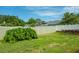 Large, grassy backyard enclosed with a white fence for privacy and features mature landscaping at 2421 Eagle Chase Dr, Palm Harbor, FL 34683