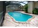 Sparkling swimming pool with stone coping and a screened enclosure at 2421 Eagle Chase Dr, Palm Harbor, FL 34683