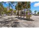 Welcoming entrance to Bella Marguerite of St. Pete Beach, enhanced by lush palm trees at 3805 Gulf Blvd # 401, St Pete Beach, FL 33706