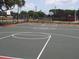Community basketball court ready for a game at 5125 Puritan Cir # 1103, Tampa, FL 33617