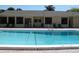 Community pool with clear blue water, ladder access, and adjacent lounge area at 5125 Puritan Cir # 1103, Tampa, FL 33617