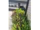Condo parking spot with tropical landscape view at 5125 Puritan Cir # 1103, Tampa, FL 33617