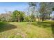 Lawn with trees and plants in backyard at 15209 Hammock Chase Ct, Odessa, FL 33556